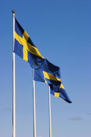 Bild för kategori ADELA