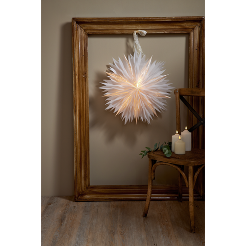 Bild på PAPPERSSTJÄRNA DIS