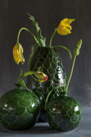 Bild för kategori Grön Misty