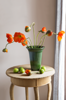 Bild för kategori Grön Daisy