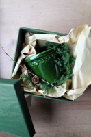 Bild för kategori Grön Københavner