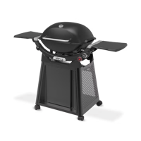 Bild för kategori Weber® Q-serien