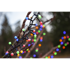 Bild på Ljusslinga BERRY Mini 300 LED Färg